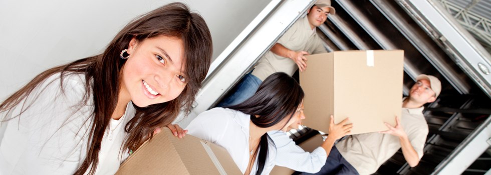 Professional Removalists Blue Mountains